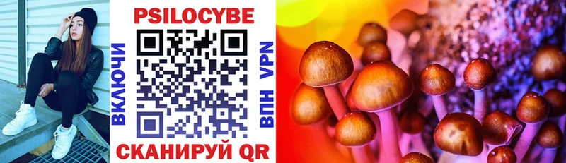 Псилоцибиновые грибы Psilocybine cubensis  Купить закладки  Кумертау 